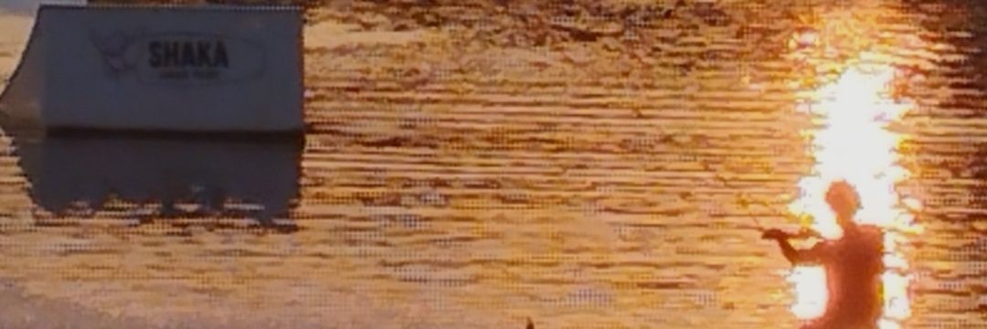 farsetto's profile banner image