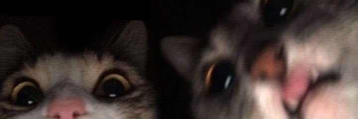 urrespectfullyG's profile banner image