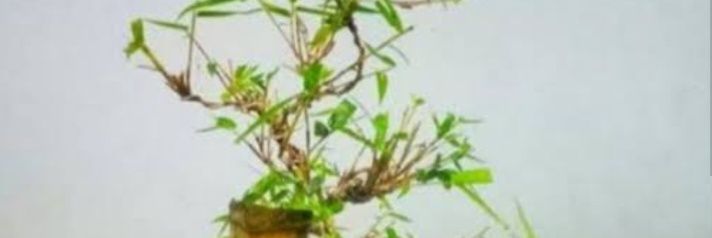 HoldKont's profile banner image