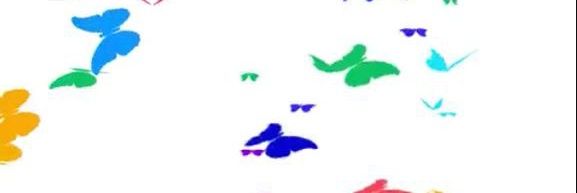SarahBonareri's profile banner image