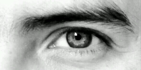 ricacedo's profile banner image
