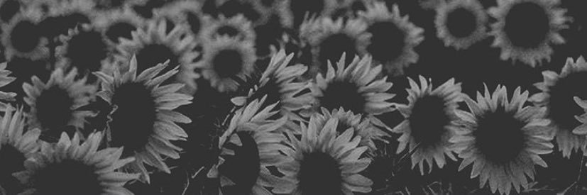 thekaixo's profile banner image
