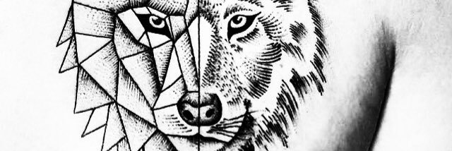 SimoneLeonardi's profile banner image