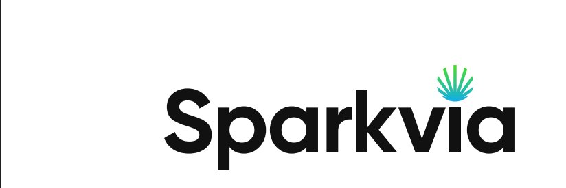 sparkvia_AI's profile banner image