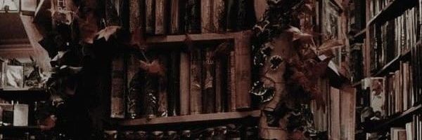 Ladyoscar1th's profile banner image