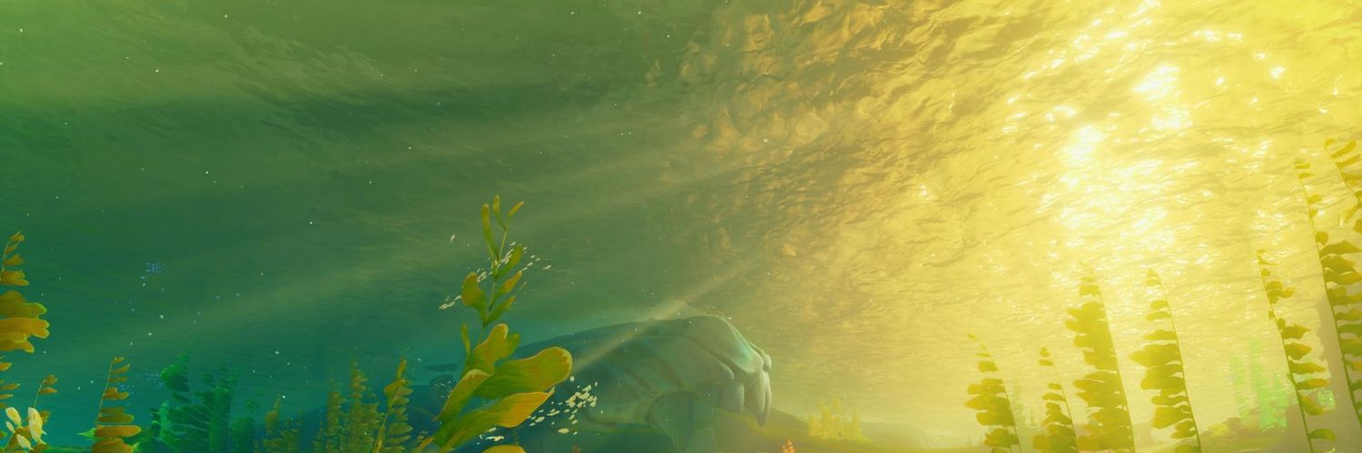 ran_destiny's profile banner image