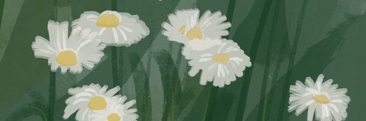 EveFeder's profile banner image