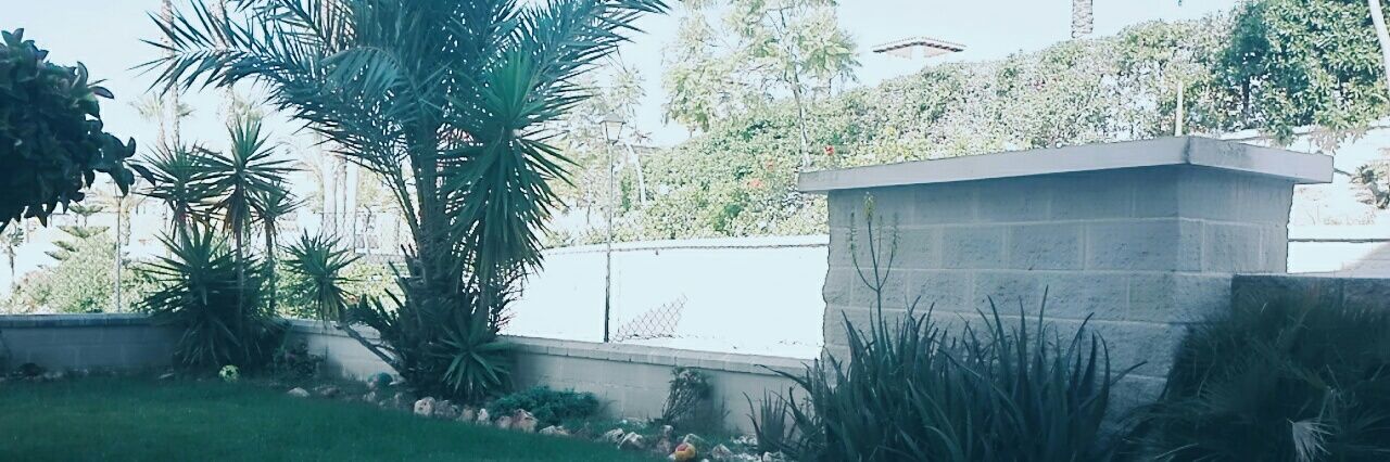 Kiko_Oli's profile banner image