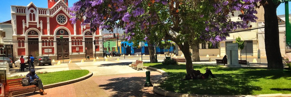 muniquillota's profile banner image