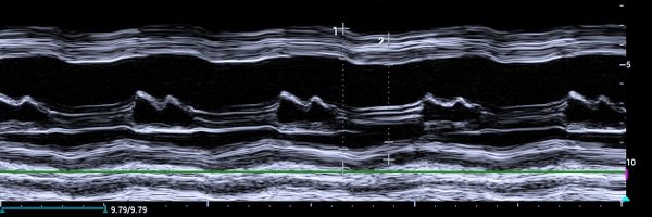DocUsmanZia Profile Banner