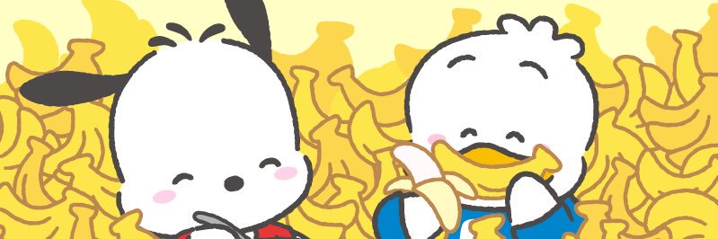 chibchaanu's profile banner image