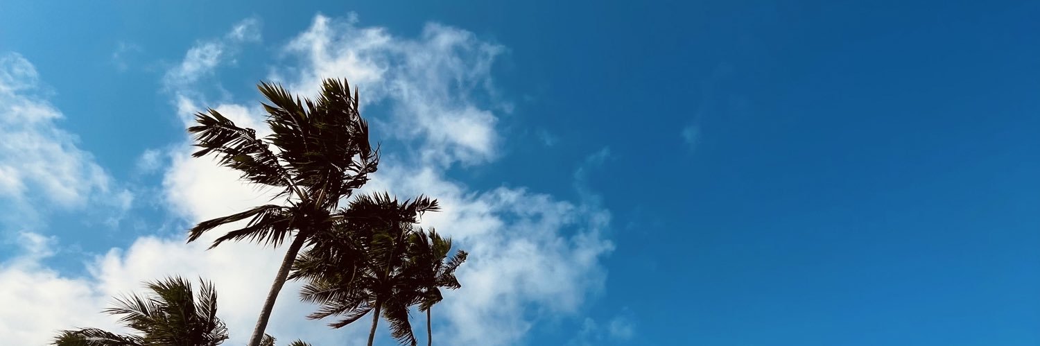 dvalagna's profile banner image