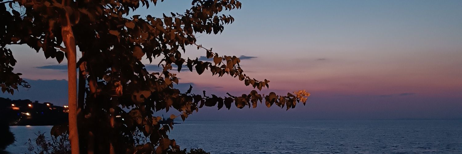 Andreanaisv's profile banner image