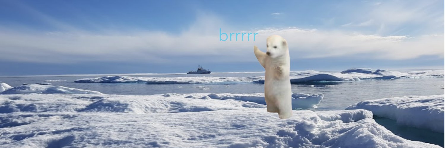 brrrbearcoin's profile banner image