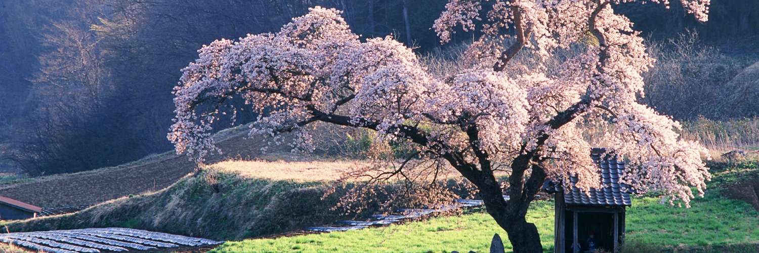 tw41856651's profile banner image