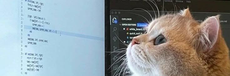 qwerty banner