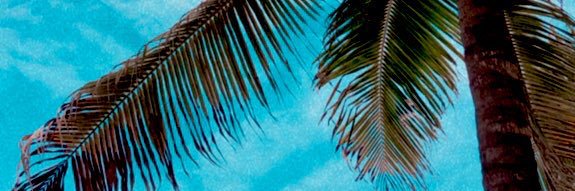 Claudia M. banner