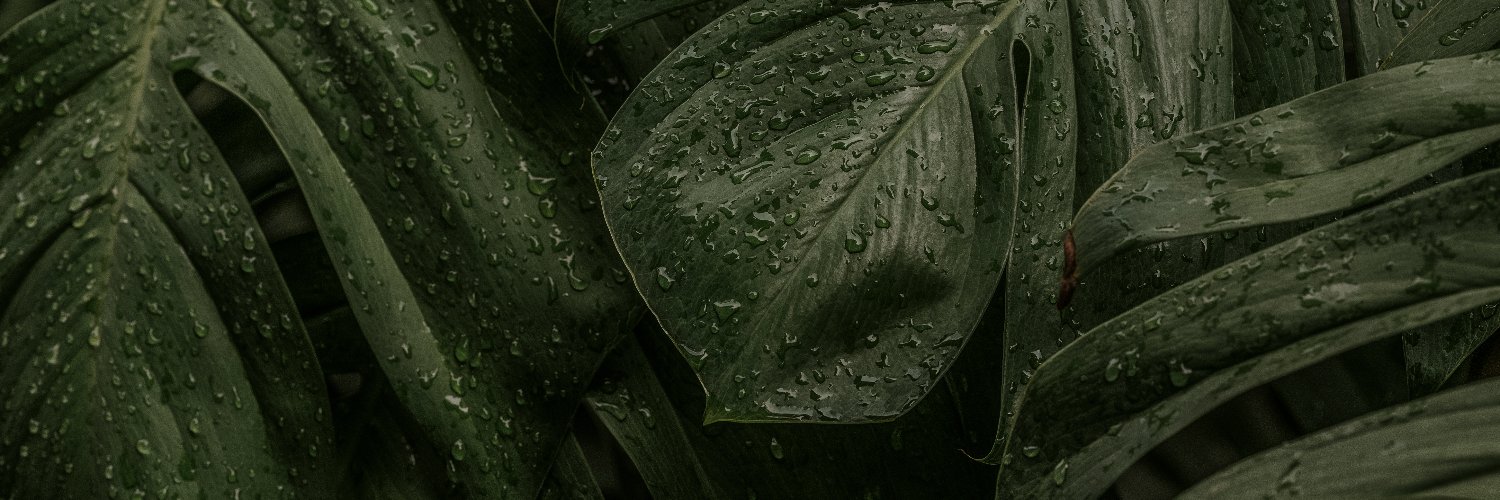 rockstarVAv's profile banner image