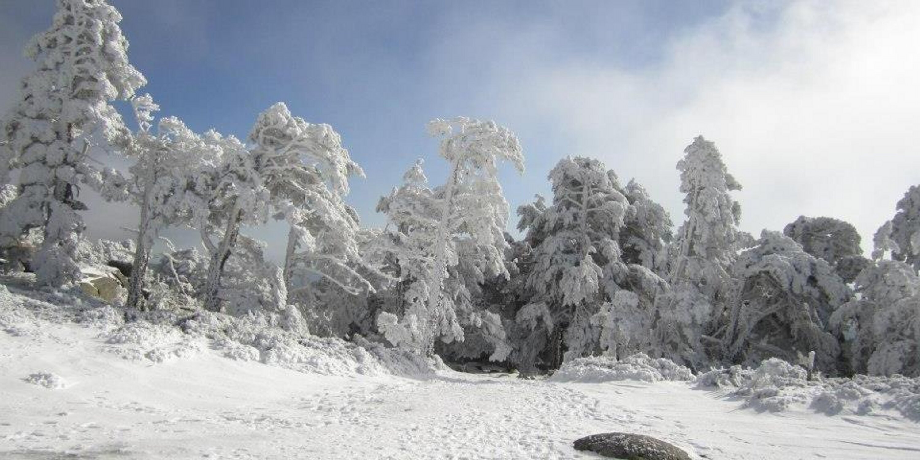 Beatriz Mayor banner
