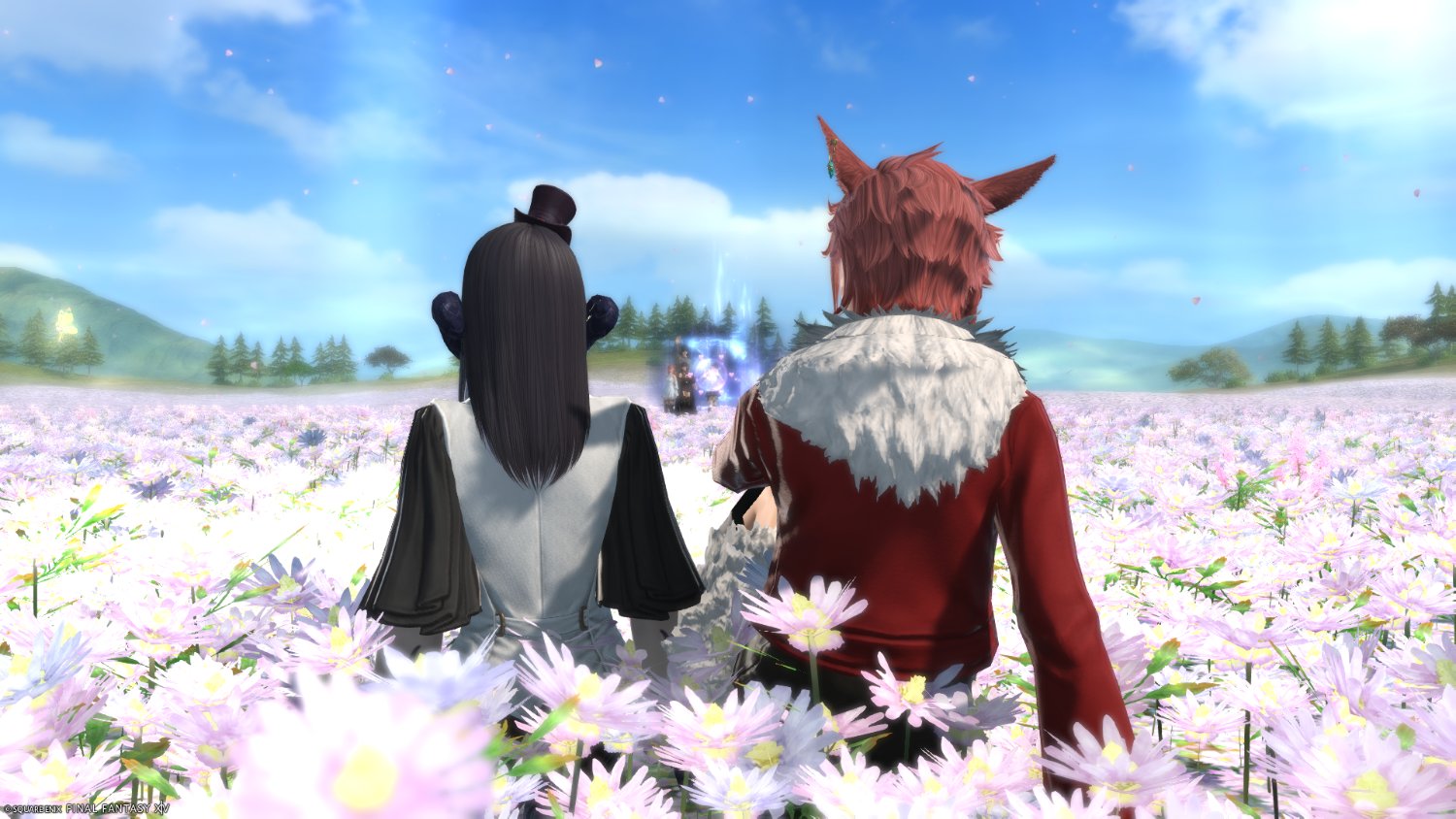 Basi banner