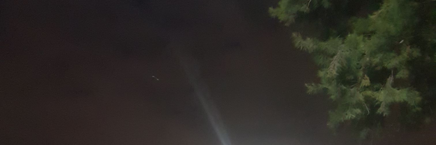 Patricio Samore banner