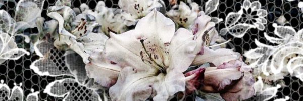 PoemsNotPrayers Profile Banner
