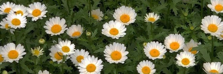 Barbiebrx's profile banner image
