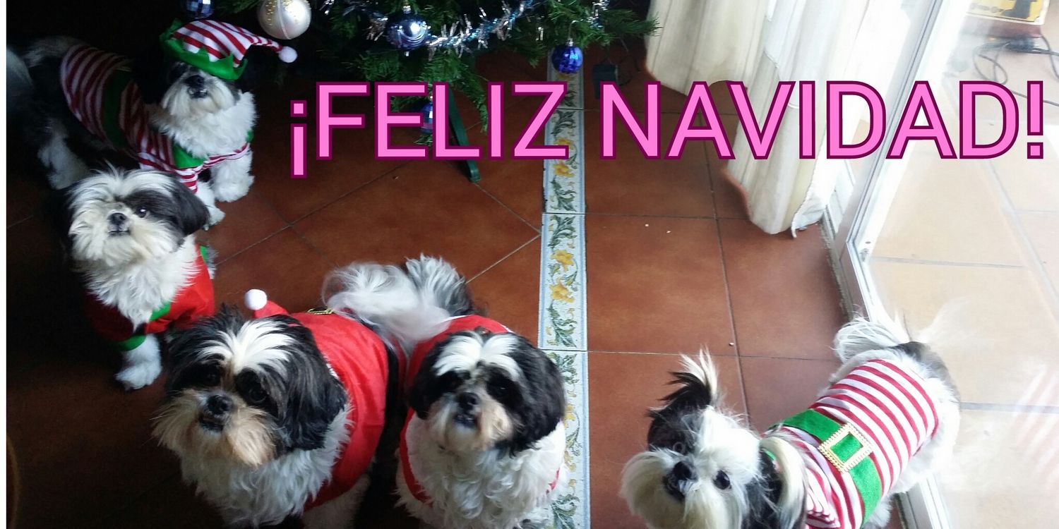 Raquel_Naia's profile banner image