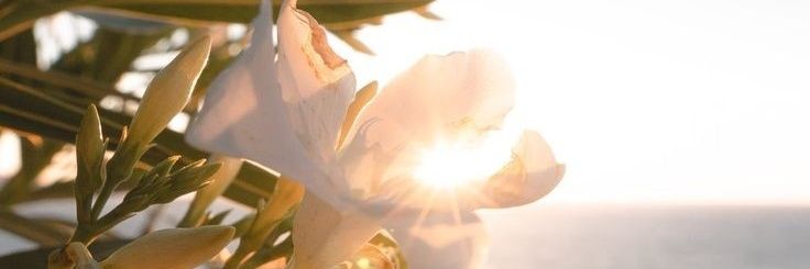 escuchameeee's profile banner image