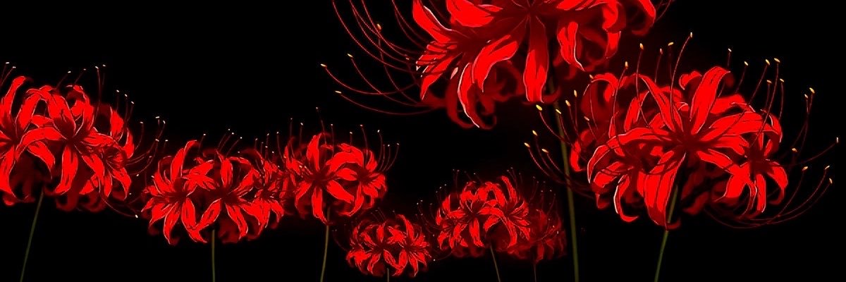 minadesgracada's profile banner image
