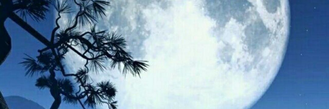 Maryspto's profile banner image