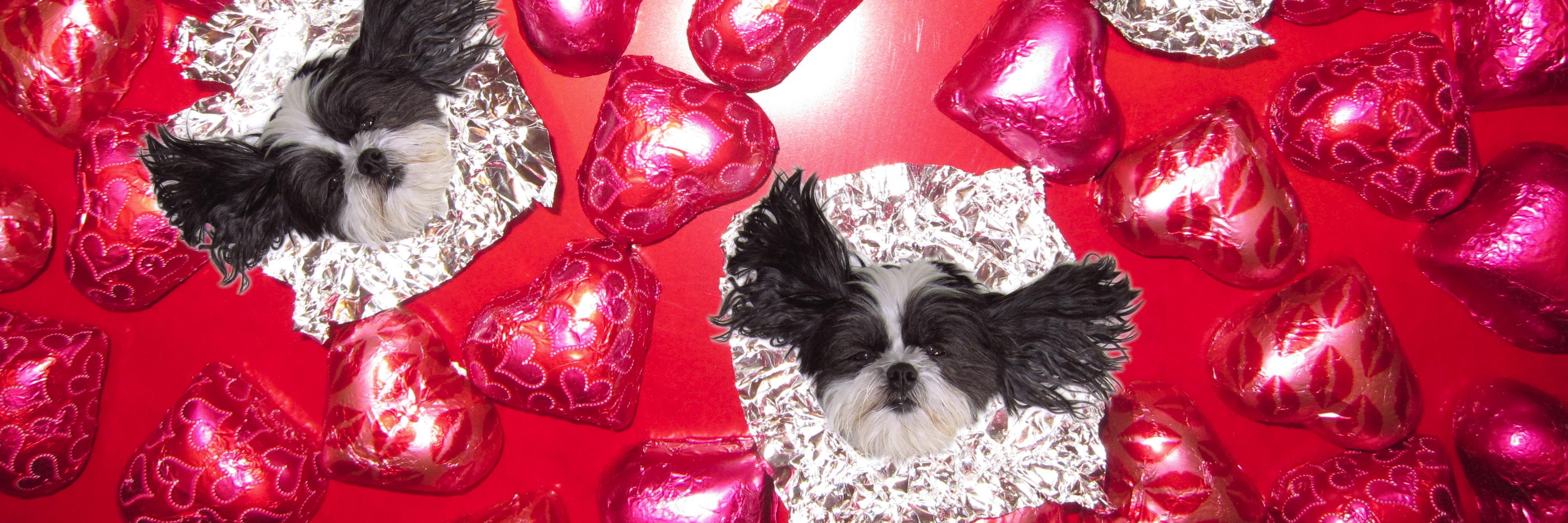 Maggswhereyouat's profile banner image