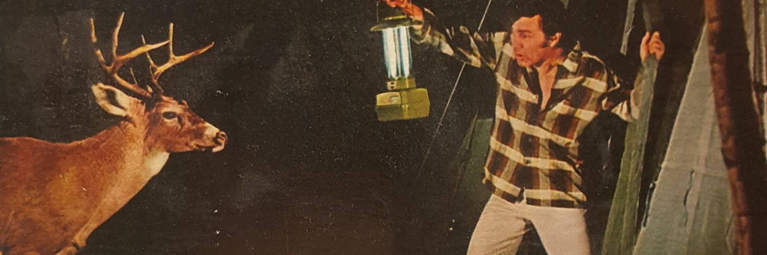 svendgali's profile banner image