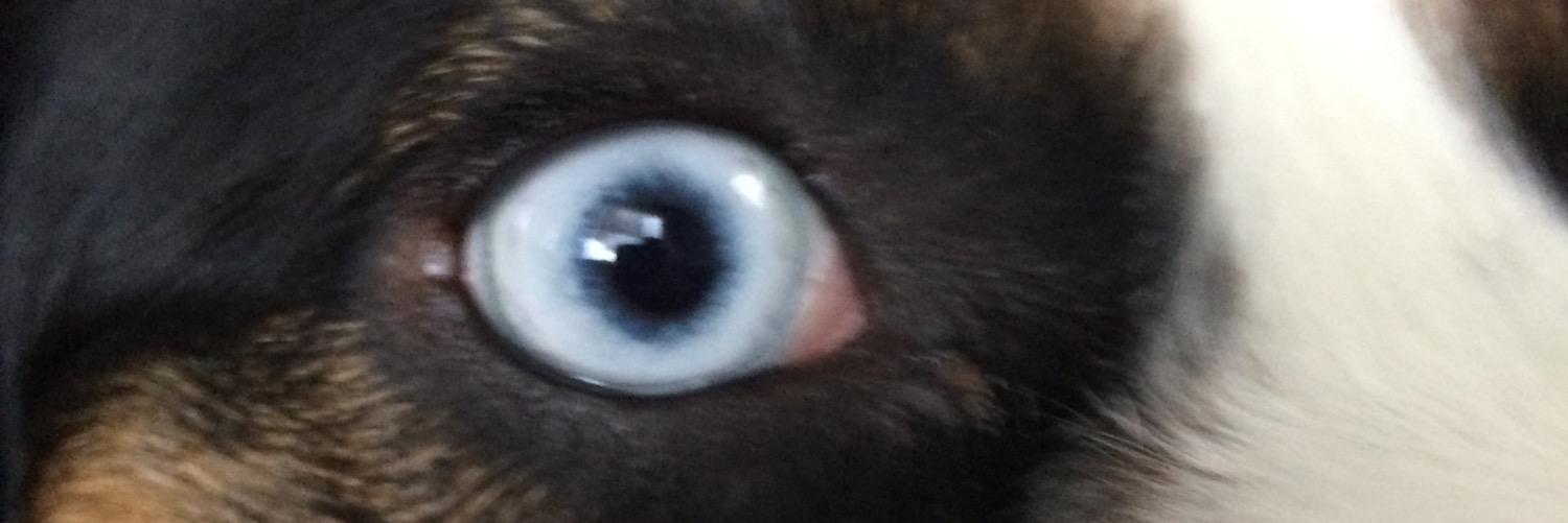 noahv's profile banner image