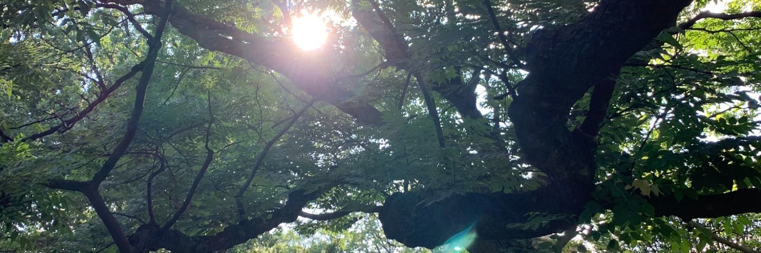 therealdarrent's profile banner image