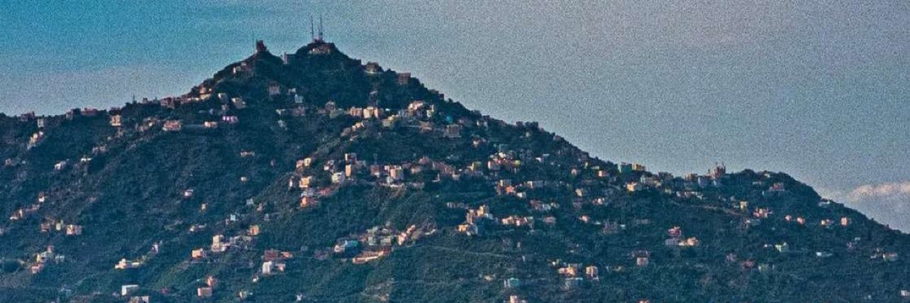 A_M_Alfaify's profile banner image