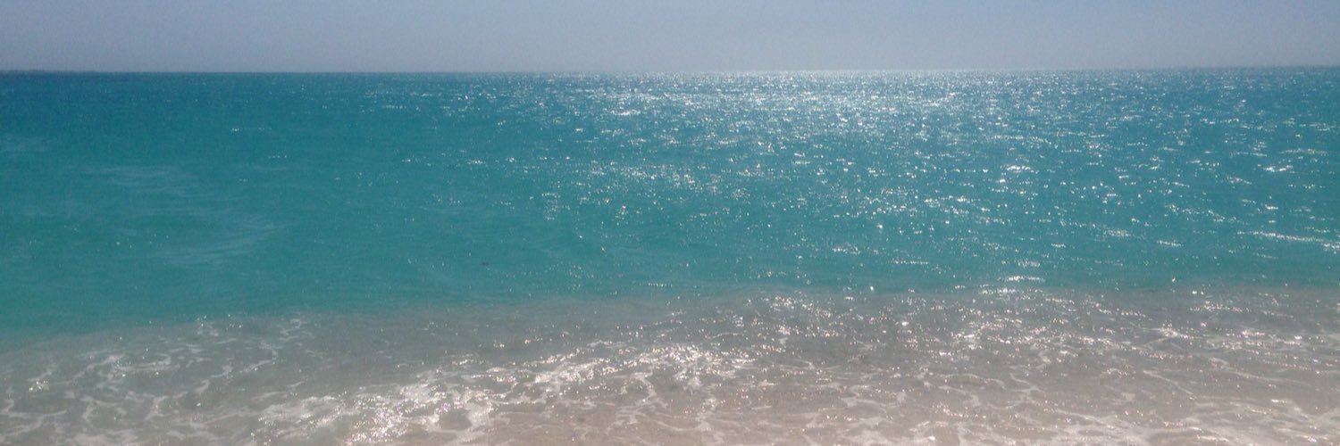 AriannaaCst's profile banner image
