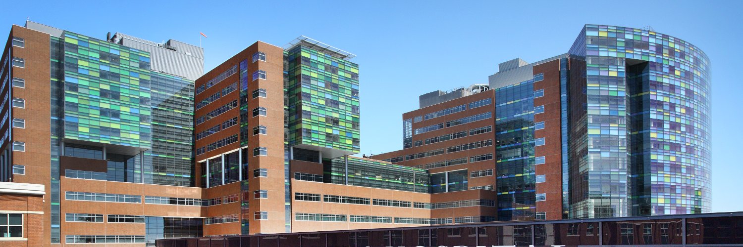 Jochen Steppan banner