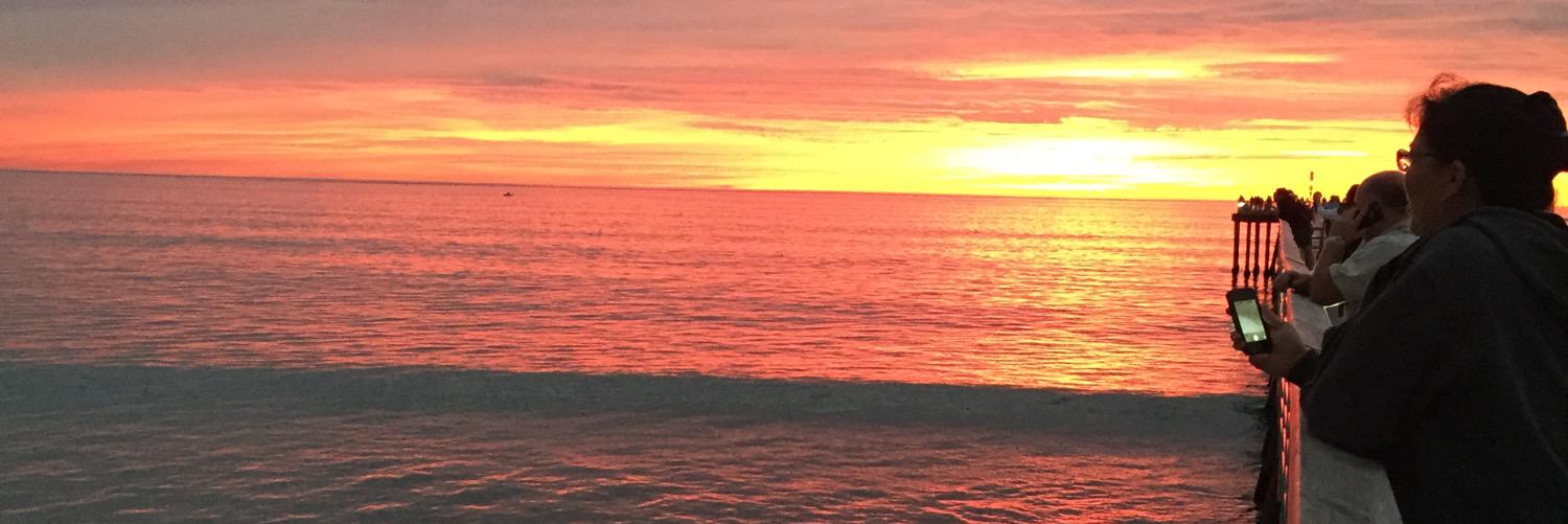laura wenrick banner