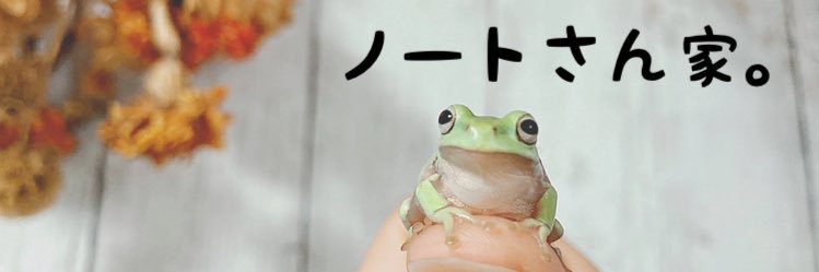 gecko_note's profile banner image