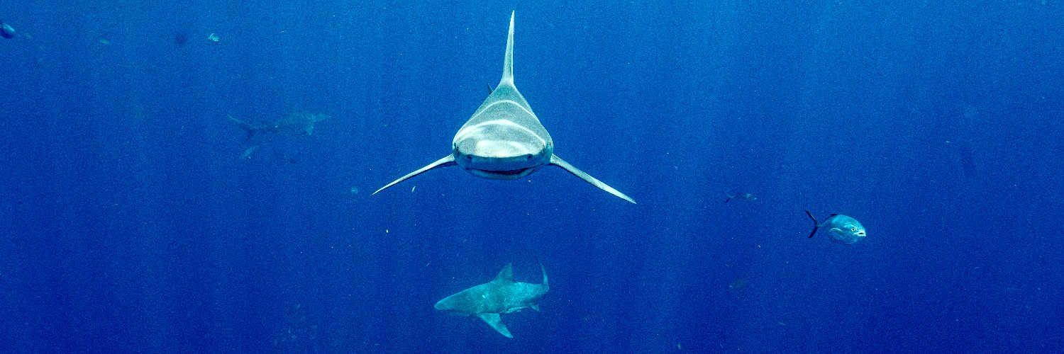 1ofLtDansLostLegs banner