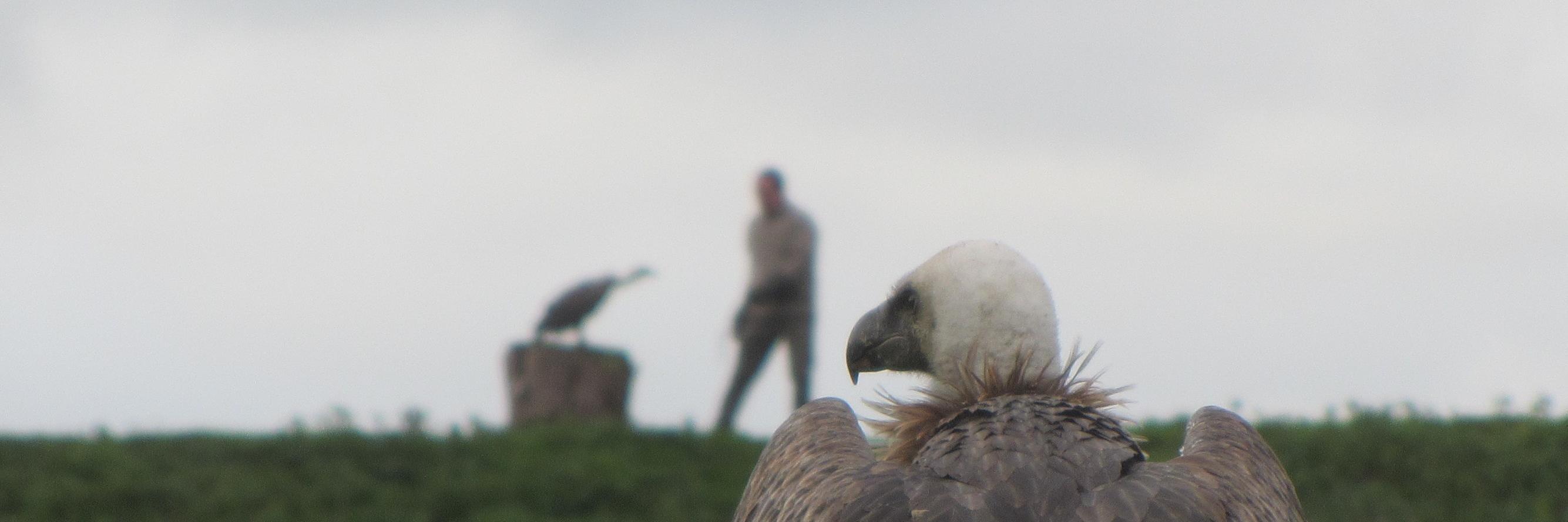 CWACReading's profile banner image