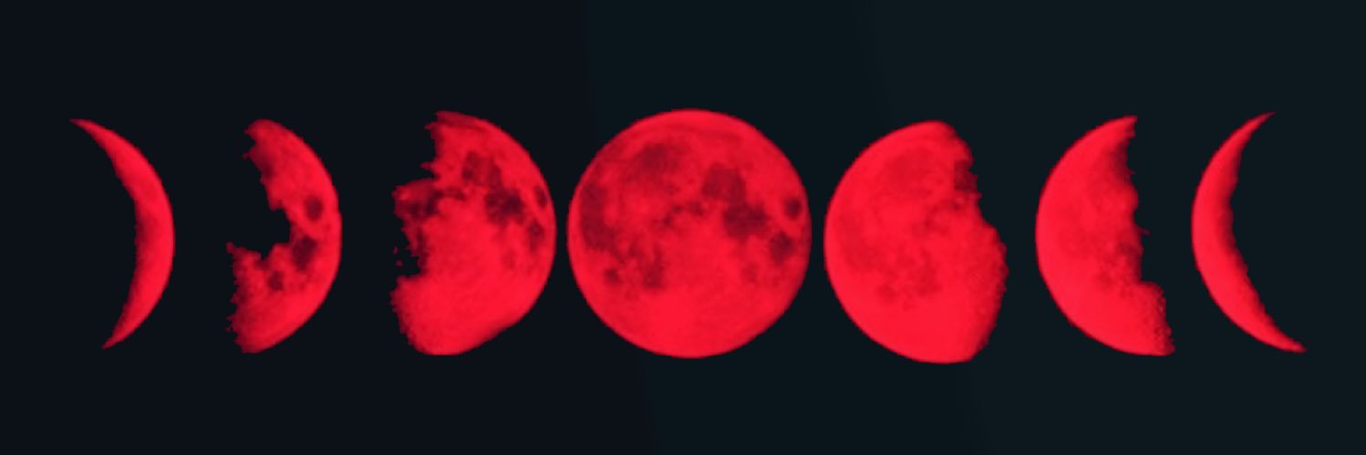 Doe in Arcadia 🩸🌑 banner