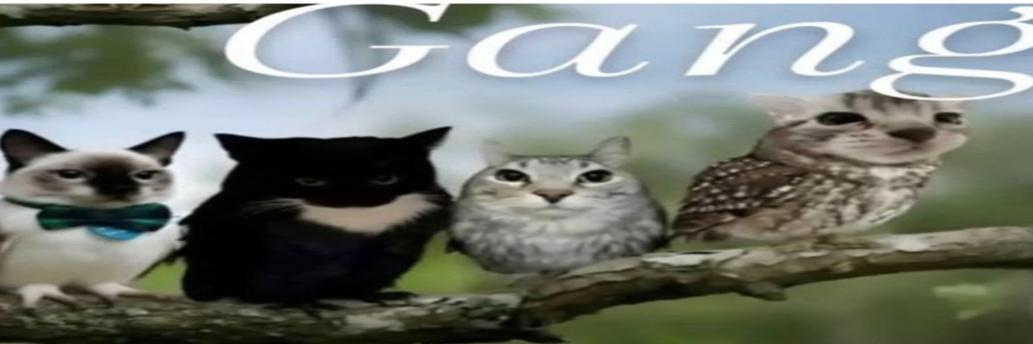yazs_rin's profile banner image