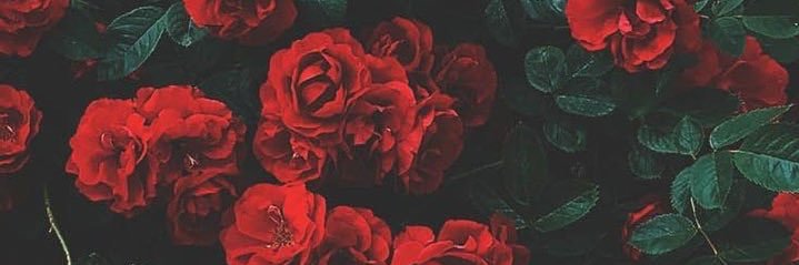x_hud91's profile banner image