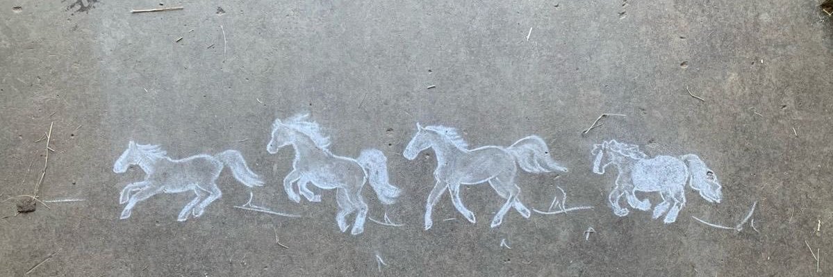 unicornras26466's profile banner image