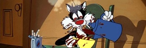 SamGorton's profile banner image