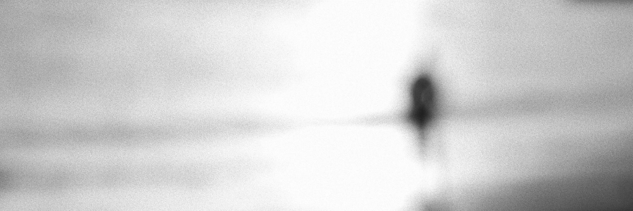 fungusinterrupt's profile banner image
