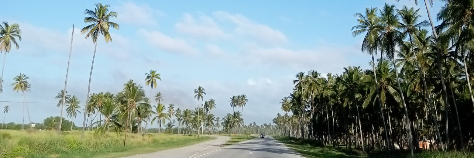 soyandrears's profile banner image