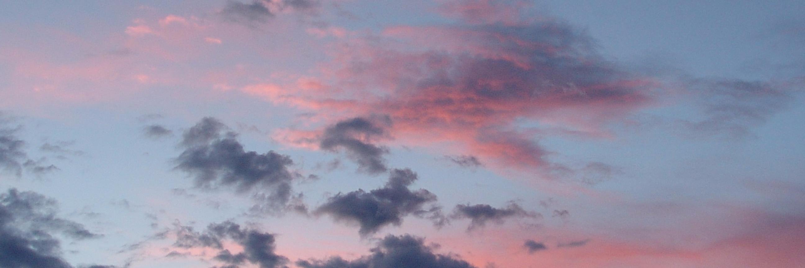 MiryAbdu's profile banner image